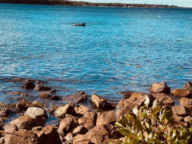 Tranquil Escape - Koala Hotspot - 2 Bed 2 Bath Apt Spectacular Sea Views Soldiers Point Exteriér fotografie